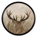 Plakat Deer