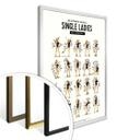 Póster Tohmé - Single Ladies