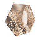 Hexagone - Alu-Dibond Annie - Faisceau d'herbes