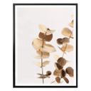 Plakat - 1X Studio - Golden Eucalyptus