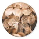 Tableau sur verre Annie - Fleurs délicates - Rond
