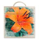 Cuadro de madera Lirio tropical - 40x41,5 cm