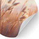 Vinilo decorativo Dune grass in the evening sun - Treechild - Redondo