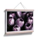 Póster Tulipanes