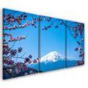 3-delt lærredsprint, Mount Fuji
