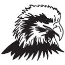 Sticker mural Aigle à tête blanche