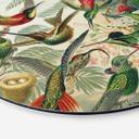 Wandcirkel Haeckel - Kolibries