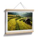 Póster Intarob - Arrozales en Vietnam