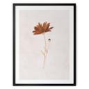 Póster de flores silvestres abstractas - Goed Blauw