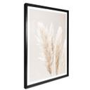Plakat - 1X Studio - Pampas