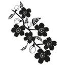 Kirsebær Blomst