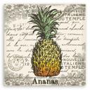 Canvasbillede, vintage ananas