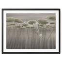 Poster lotusbloemen met zwaan in water in grijs - Ms Tiff