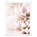 Plakat - 1X Studio - Flowers