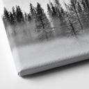 Tableau sur toile Xu - Foggy Forest