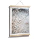 Póster Hierbas delicadas en la nieve - Böhmer
