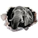 Wallsticker 3D-sticker Meermann - Afrikansk elefant