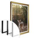 Póster Fawn