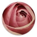 Billede af træ Den lyserøde rose - Rund