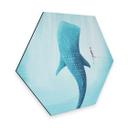 Hexagone - Alu-Dibond Rivers - Le requin baleine
