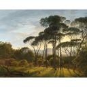 Voogd - Papel pintado de Paisaje italiano con pinos paraguas