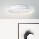 Wand- und Deckenleuchte Aurora, metallic/weiß, Ø 48,5 cm, Lampe