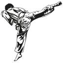 Sticker mural - Joueur de karaté