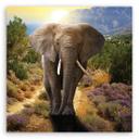 Canvasbillede, Elefant ved solnedgang