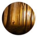 Wandcirkel Norim - Forest Beauty