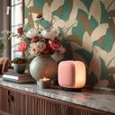 Ikke-vævet tapet Isabelle Golden Canopy palmer petrol beige - palmeblade jungle brun grøn