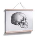 Póster Calavera 01