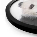 Póster Sisi & Seb - Panda bebé - Redondo