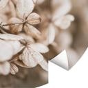 Fototapet - Rundt Annie - Velvet Blossoms - vliesetapet/selvklæbende non-woven tapet