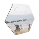 Hexagone - alu-Dibond La magie de la côte le long de dunes sauvages