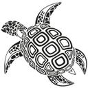 Skildpadde