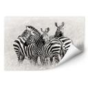 Zelfklevende Poster - Trubitsyn - Zebra's in de Savanne