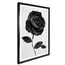 Ireland Plakat - Fabric Rose