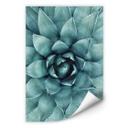 Zelfklevende Poster Agave 02