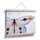 Póster Kvilis - Mariposa 01