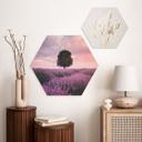 Hexagon Dibond Lilla lavendelmarker ved solnedgang - Cevik
