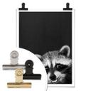 Póster Graves - Racoon