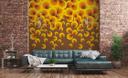 retro tapet gul orange - non-woven tapet retro & vintage Livingwalls - mat og glat