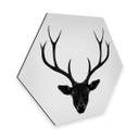 Hexagone - Tableau sur alu-Dibond Ireland - The Cerf noir