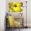 Zelfklevende Poster - Niksic - Sunny Room