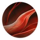 Tableau sur alu-Dibond rond Wechsler - plantes d'agave en automne