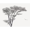 Fototapete Minimalistischer Baum in ruhiger Landschaft - Flour