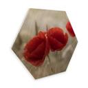 Hexagon Hout Berkenfineer Delgado - Klaprozenkoppel
