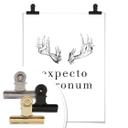 Póster - Expecto Patronum
