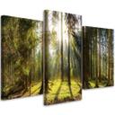 3 stykke lærredsprint, Forest Rays Tree Nature