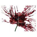 Azulejos Adhesivos Amapola Roja - lote de 12
